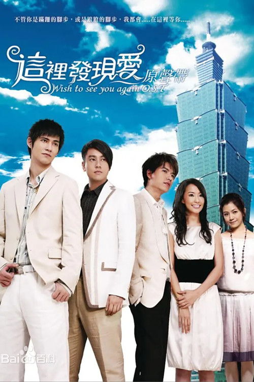 Wish To See You Again (2008) TV show poster