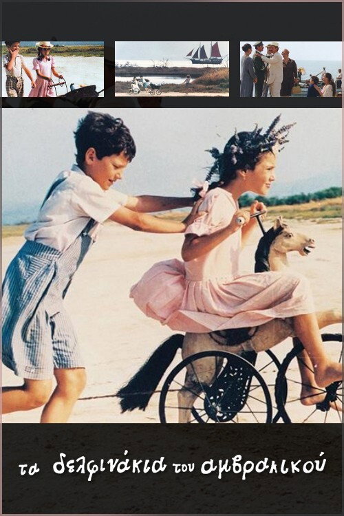 The Little Dolphins (1994) movie poster