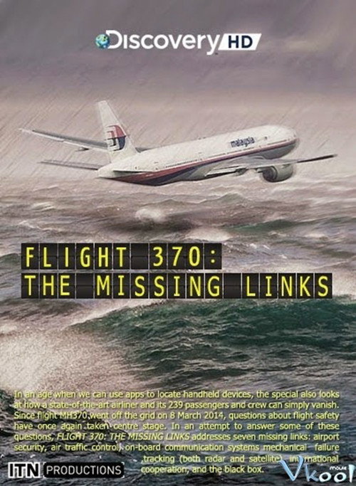 Flight 370: The Missing Links (2014) movie poster