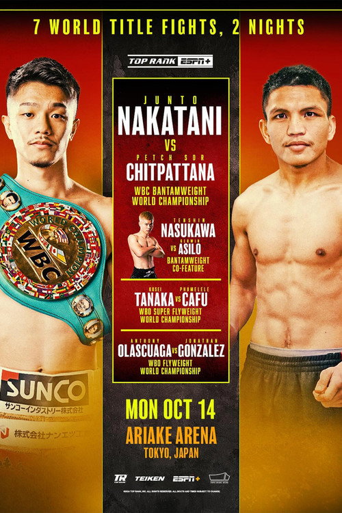Junto Nakatani vs. Petch Sor Chitpattana (2024) movie poster