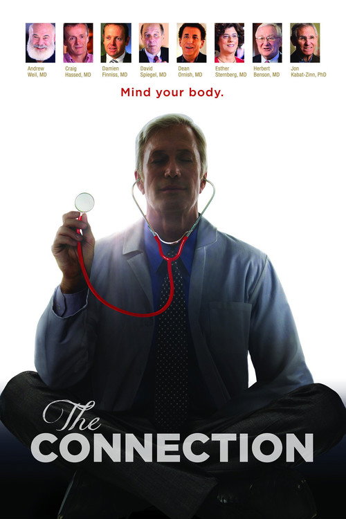 The Connection (2014) movie poster