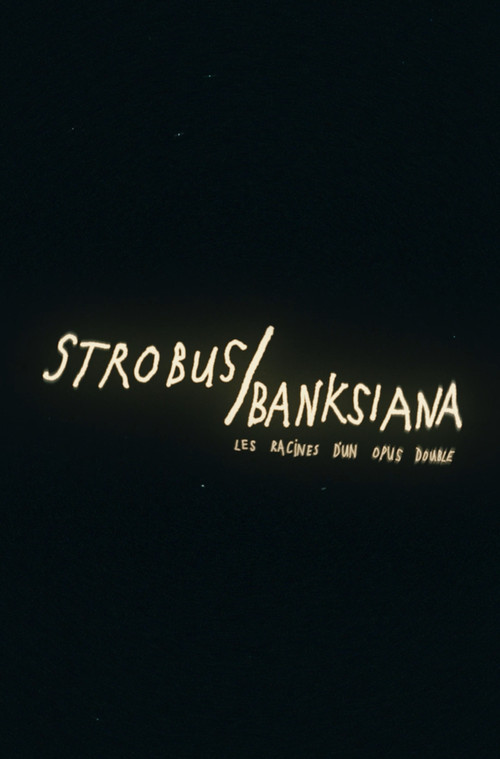 Strobus / Banksiana : les racines d'un opus double (2026) movie poster