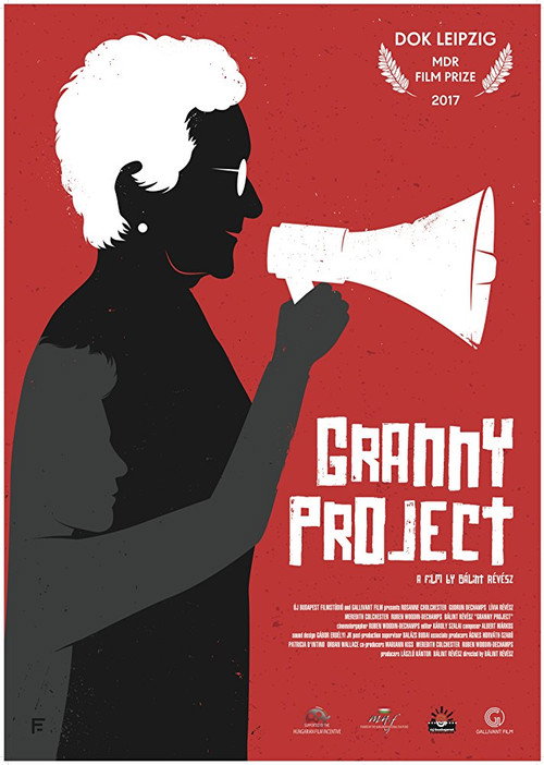 Granny Project (2017) movie poster