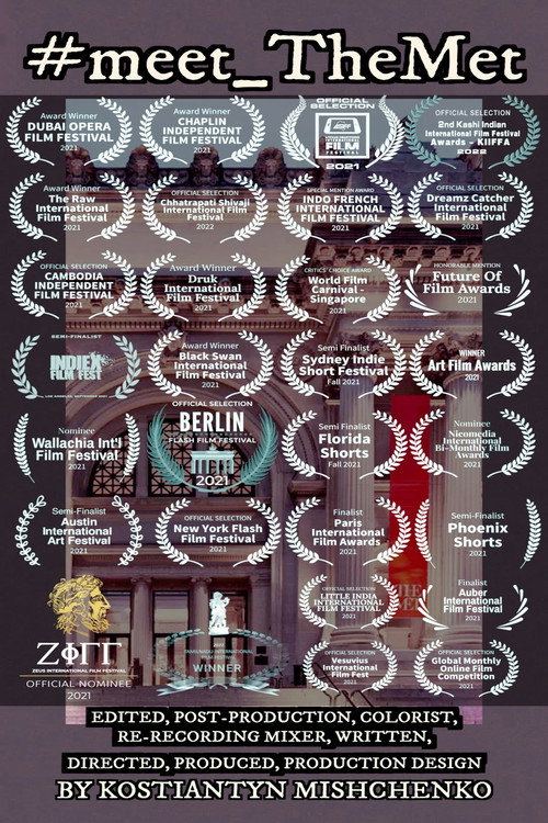 #meet_TheMet (2021) movie poster
