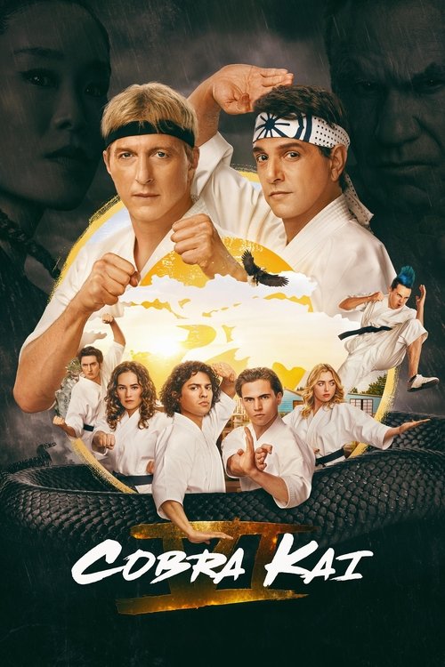 Cobra Kai (2018) TV show poster