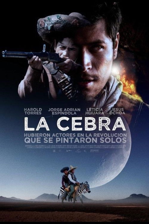 The Zebra (2011) movie poster