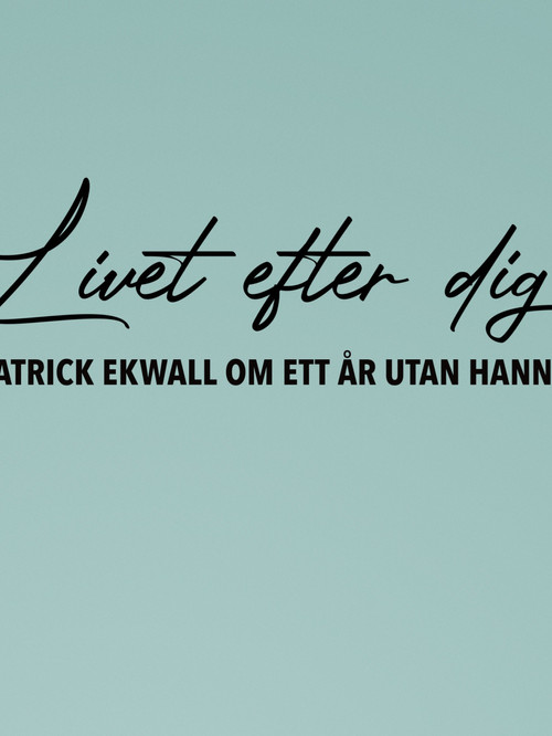 Patrick Ekwall: Om ett år utan Hannah (2022) movie poster
