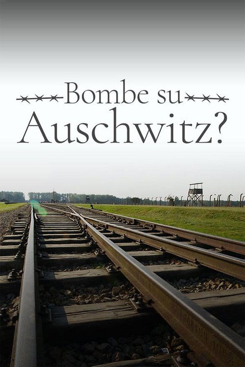 1944: Should We Bomb Auschwitz? (2019) movie poster