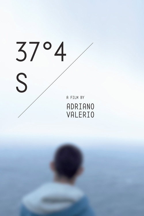 37°4 S (2013) movie poster