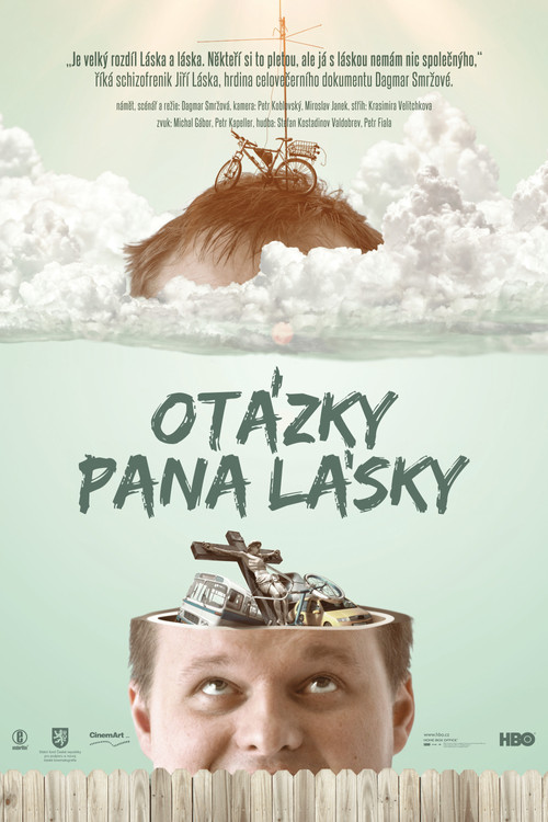 Otázky pana Lásky (2013) movie poster