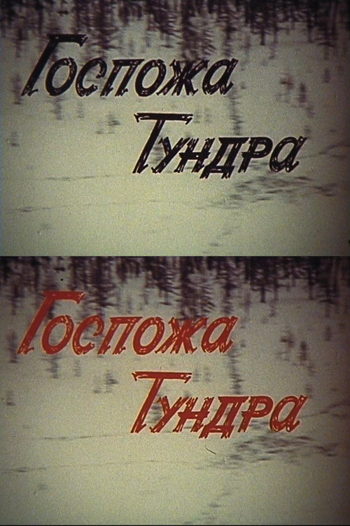 Lady Tundra (1986) movie poster