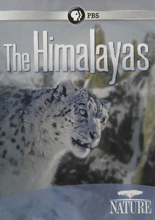 The Himalayas (2011) movie poster