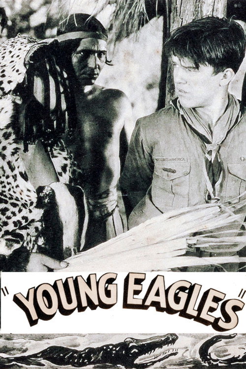 Young Eagles (1935) movie poster