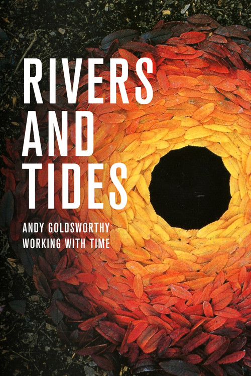 Rivers and Tides (2001) movie poster