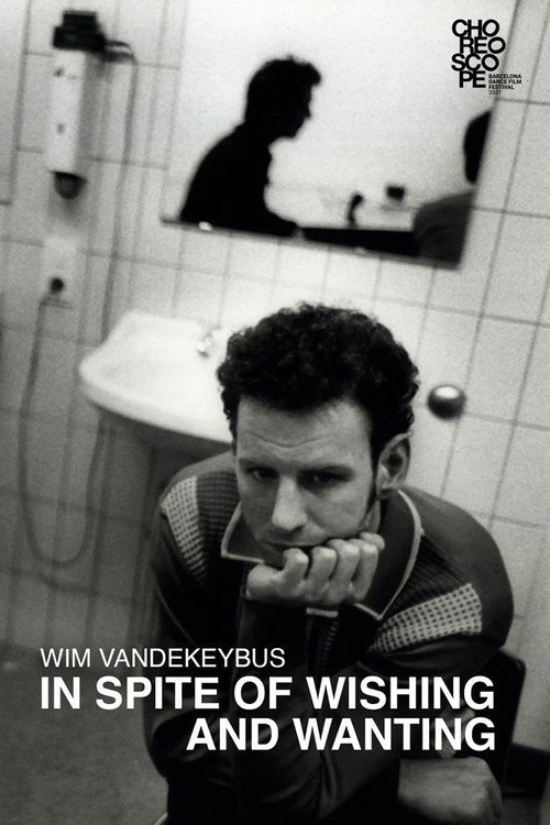 In Spite of Wishing and Wanting (2002) movie poster