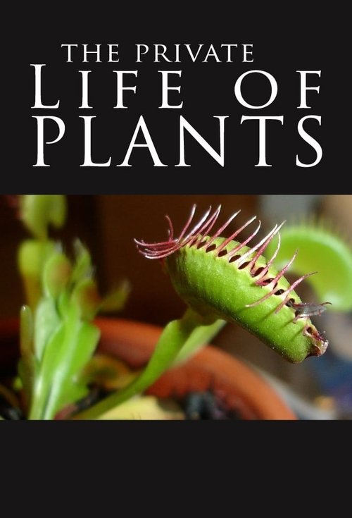 The Private Life of Plants (1995) TV show poster