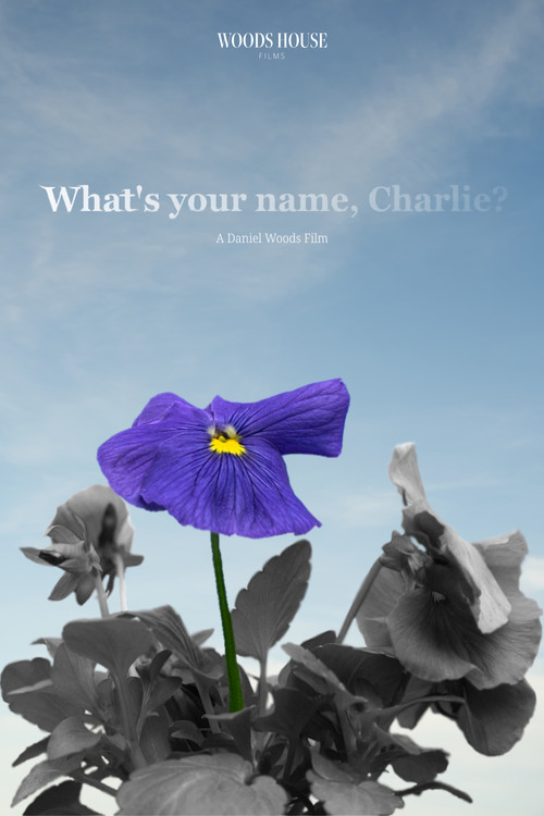 What's Your Name, Charlie? movie poster