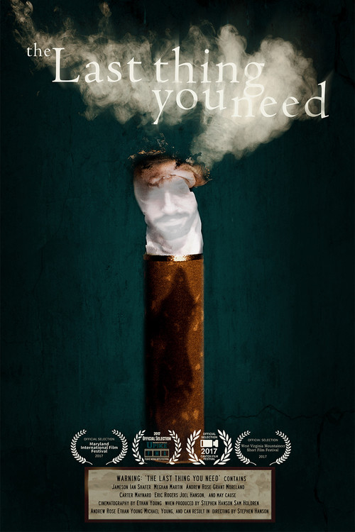 The Last Thing You Need (2017) movie poster