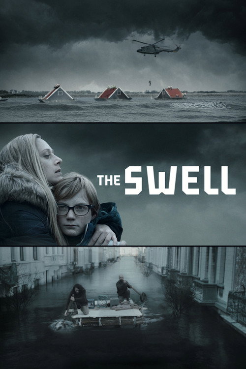 The Swell (2016) TV show poster