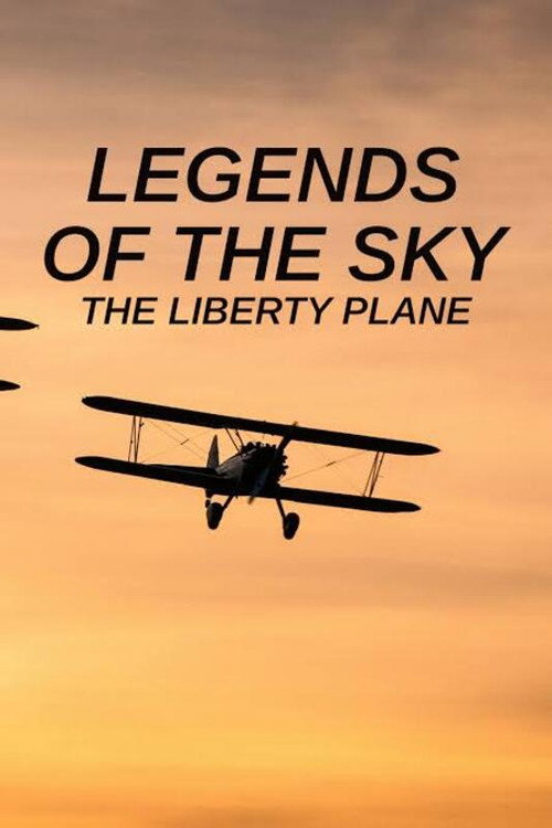 Legends of the Sky: The Liberty Plane (2022) movie poster