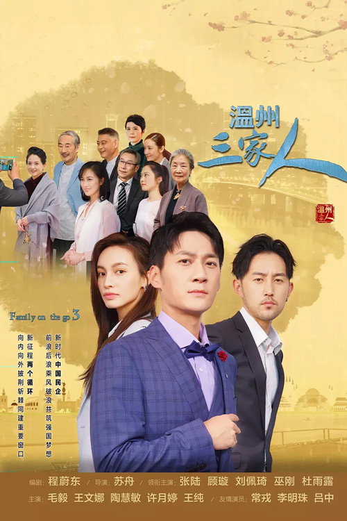 Family on the Go 3 (2021) TV show poster