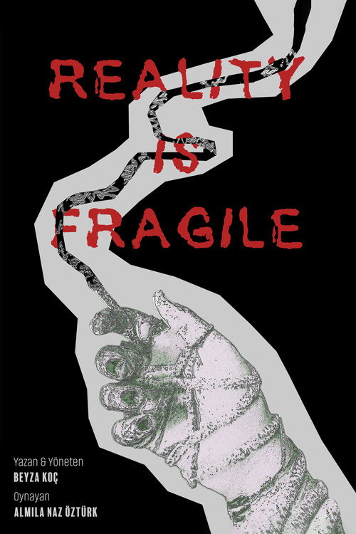 Reality Is Fragile (2026) movie poster