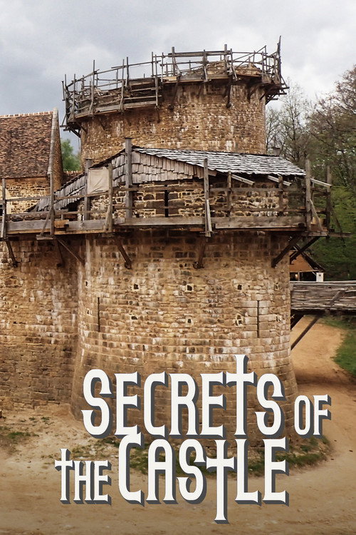 Secrets of the Castle (2014) TV show poster