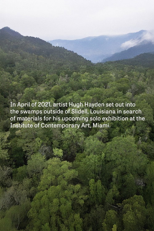 Hugh Hayden: Skeletons in the Swamp (2022) movie poster