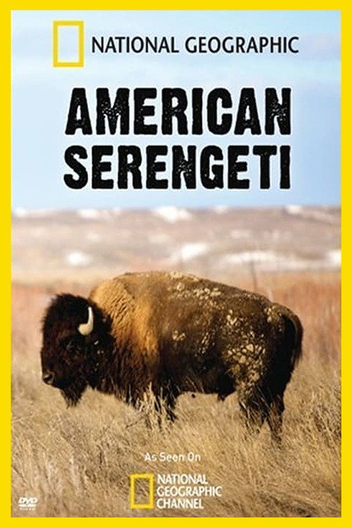 American Serengeti (2010) movie poster