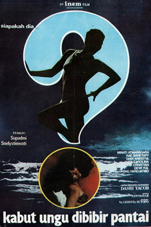 Purple Fog at the Shore (1981) movie poster