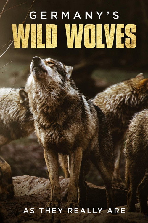 Germany's Wild Wolves - As They Really Are (2019) movie poster