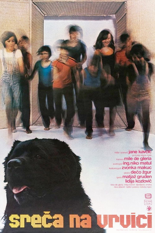 Hang on, Doggy (1977) movie poster