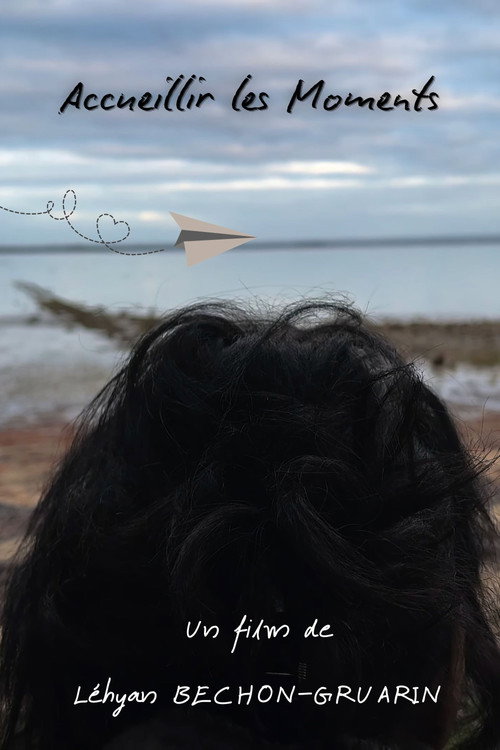 Embrace the Moments (2026) movie poster