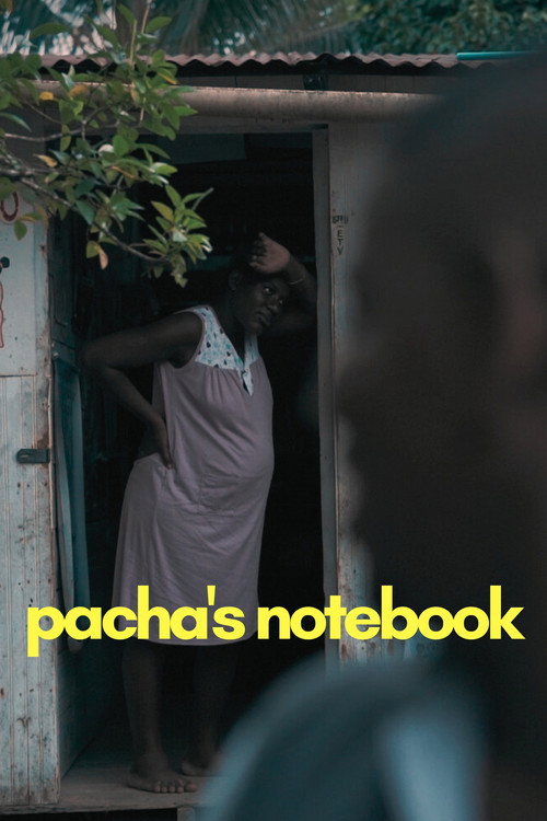 Pacha's Notebook (2021) movie poster