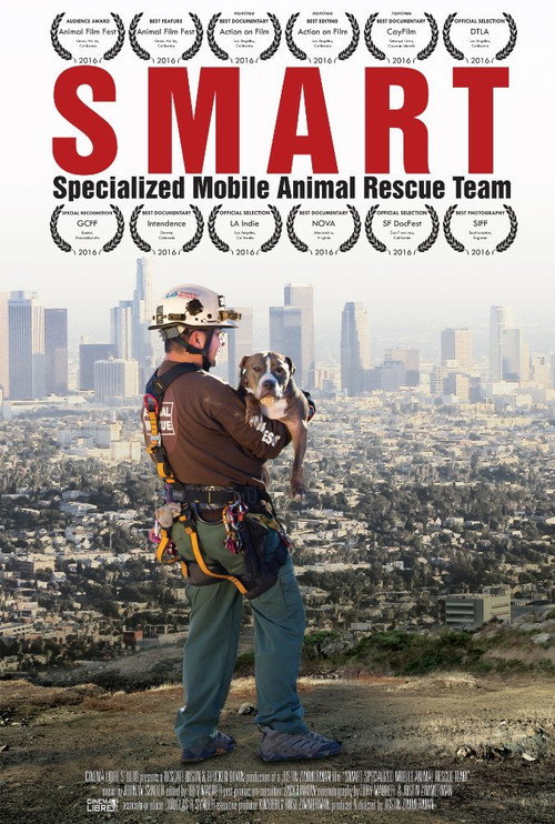 Smart (2015) movie poster