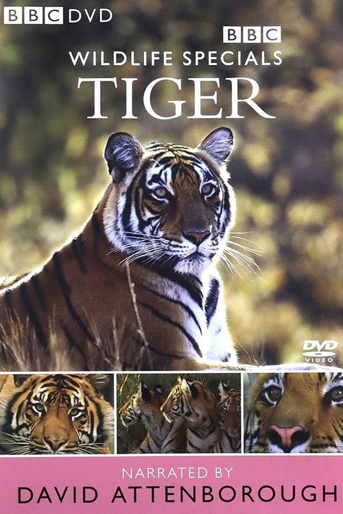 Tiger: The Elusive Princess (1999) movie poster
