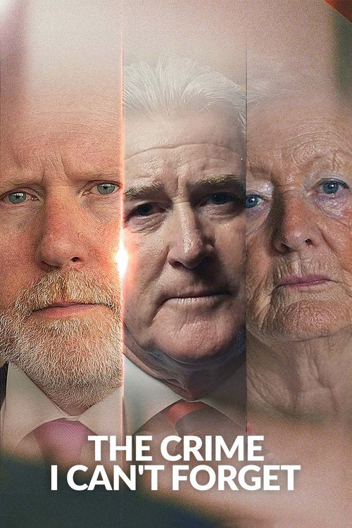 The Crime I Can't Forget (2025) TV show poster