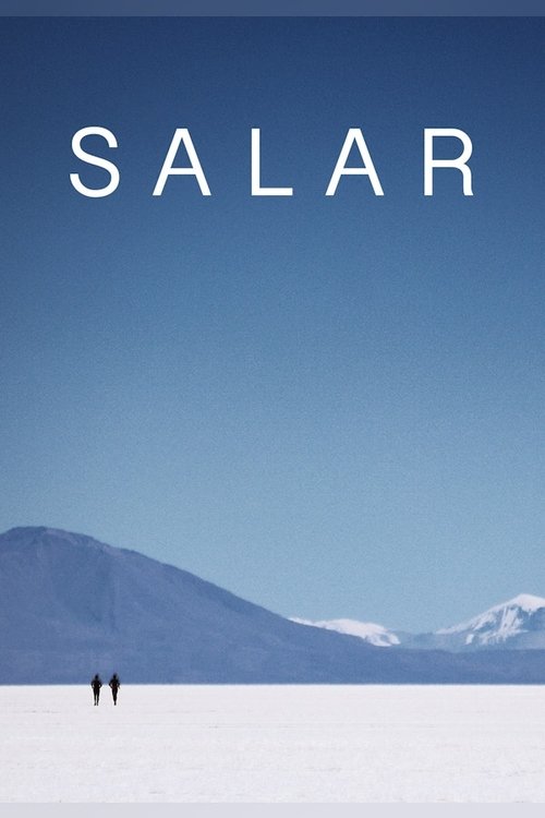 Salar (2011) movie poster