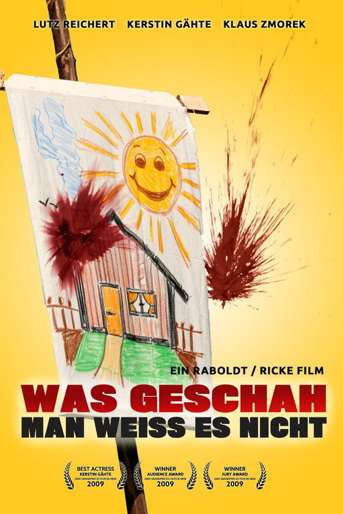 What happened - No one knows (2009) movie poster