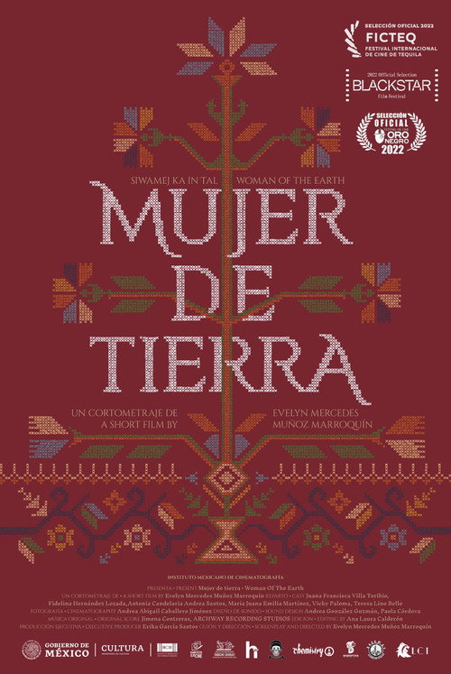 Mujer de Tierra (2021) movie poster