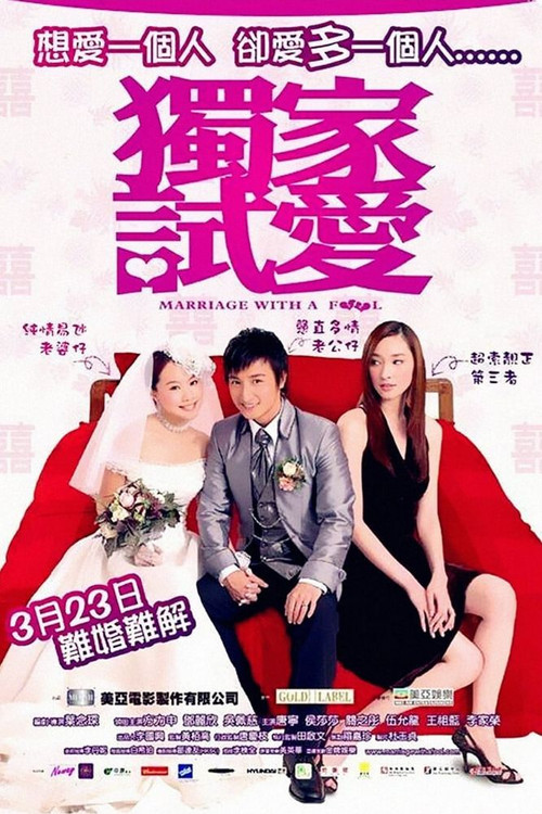Marriage with a Fool (2006) movie poster