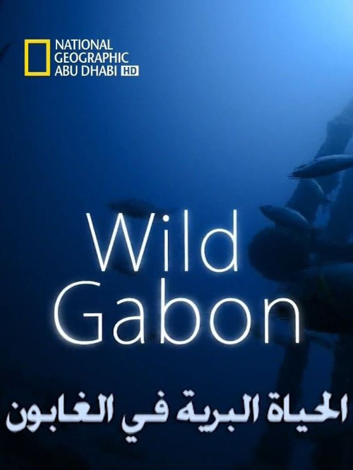 Wild Gabon (2014) movie poster