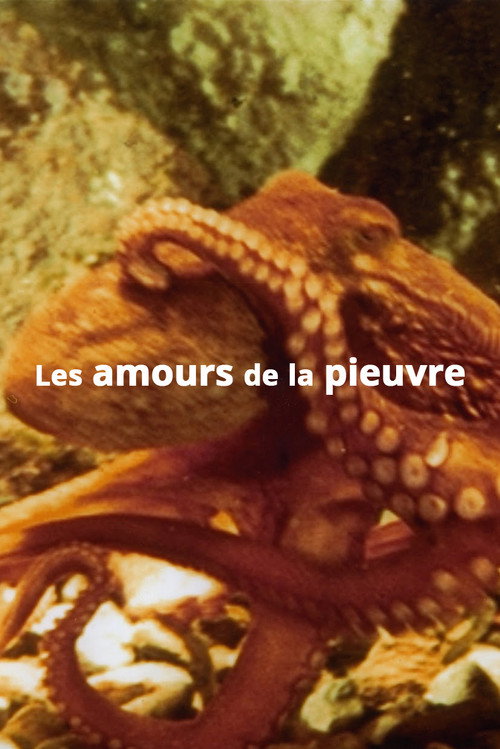 The Love Life of an Octopus (1967) movie poster