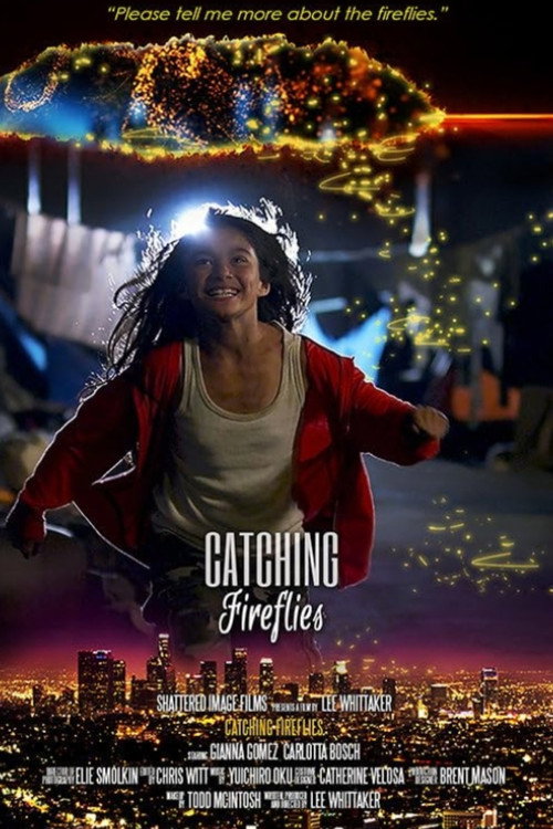 Catching Fireflies (2015) movie poster