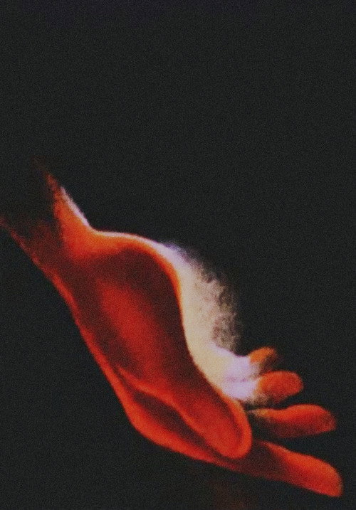 Chopin (2008) movie poster