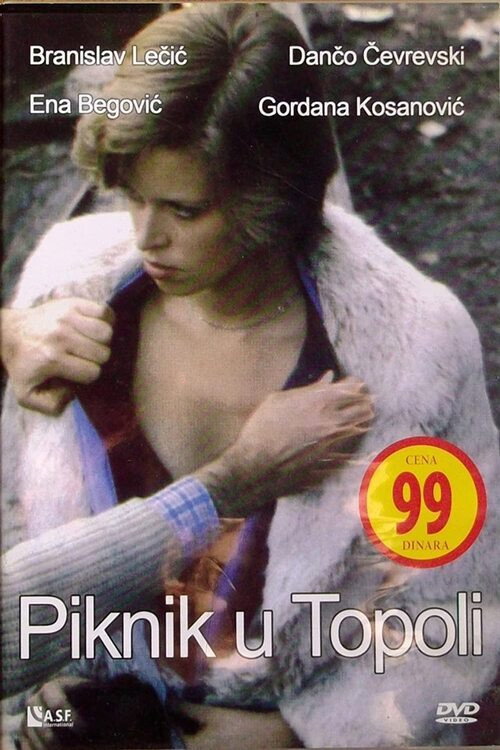 Picnic in Topola (1981) movie poster