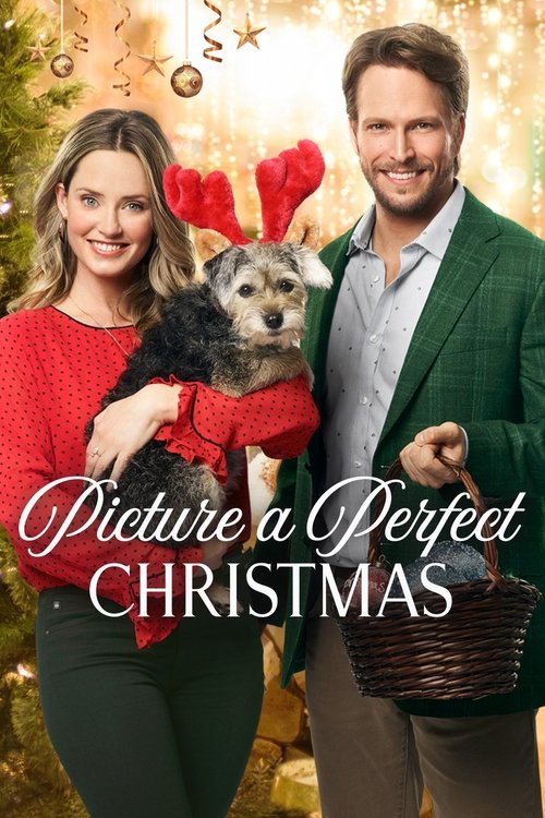 Picture a Perfect Christmas (2019) movie poster