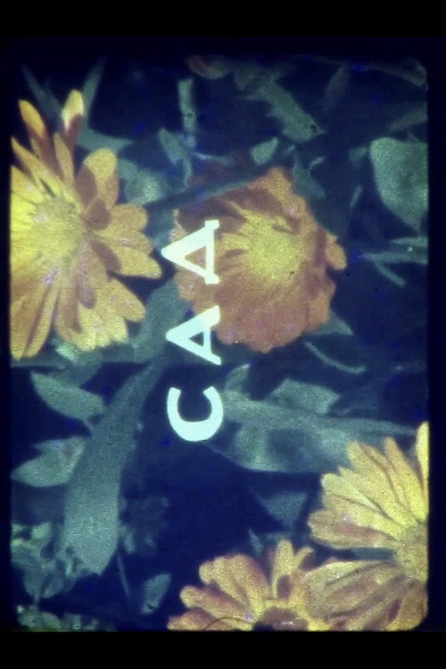 Colors of Summer (1970) movie poster