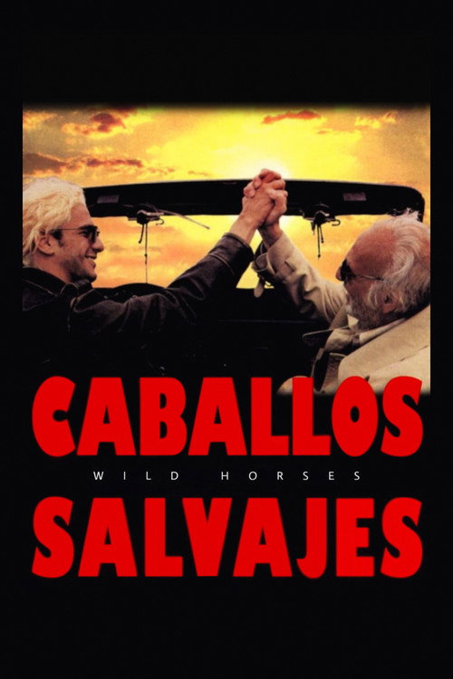 Wild Horses (1995) movie poster