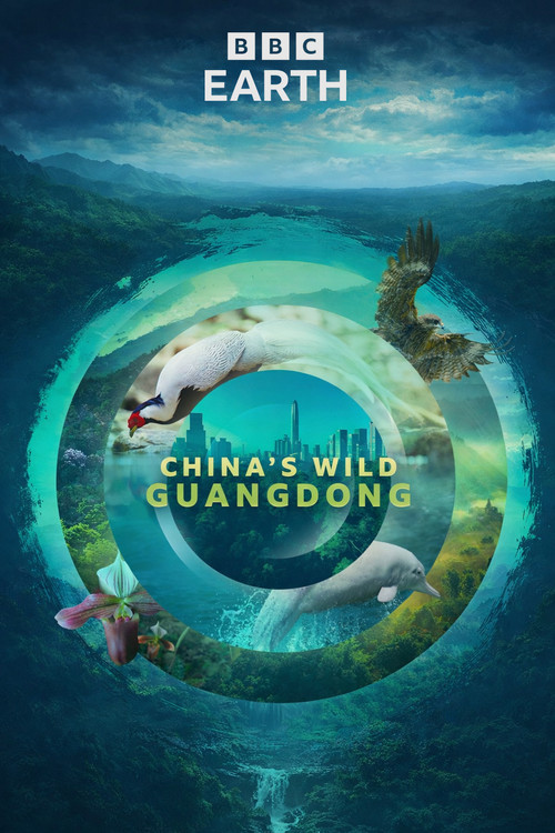 China's Wild Guangdong (2026) TV show poster